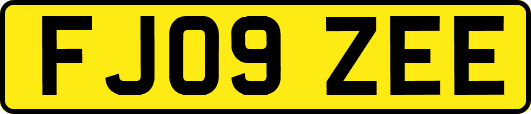 FJ09ZEE