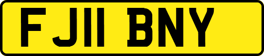 FJ11BNY