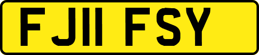 FJ11FSY