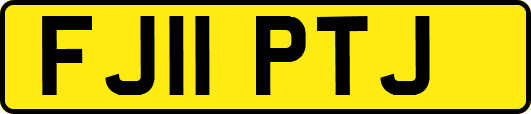 FJ11PTJ