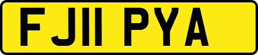 FJ11PYA