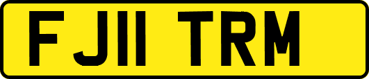 FJ11TRM