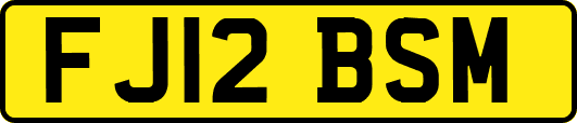 FJ12BSM