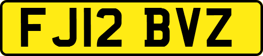 FJ12BVZ