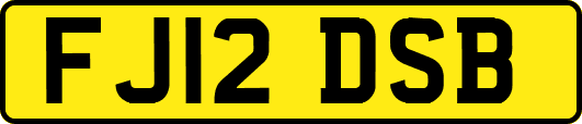 FJ12DSB