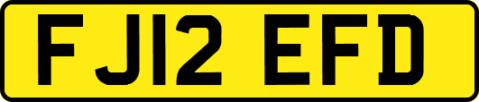 FJ12EFD