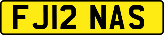 FJ12NAS