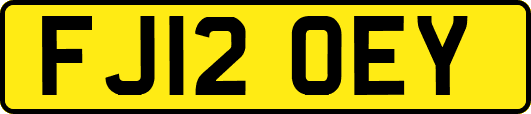 FJ12OEY