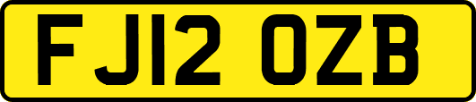FJ12OZB