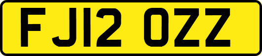 FJ12OZZ