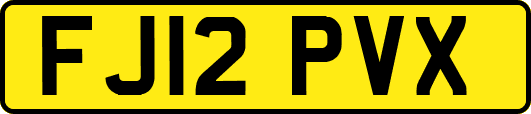FJ12PVX