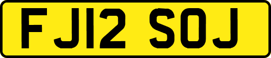 FJ12SOJ