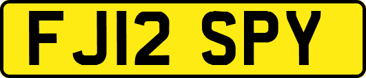 FJ12SPY