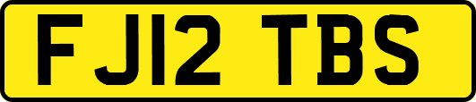 FJ12TBS