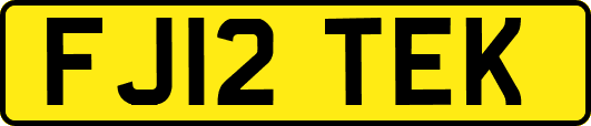 FJ12TEK