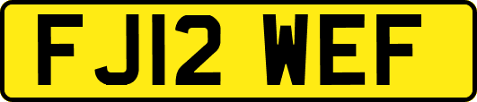 FJ12WEF