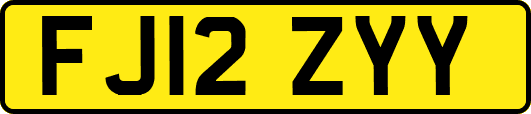 FJ12ZYY