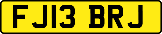 FJ13BRJ