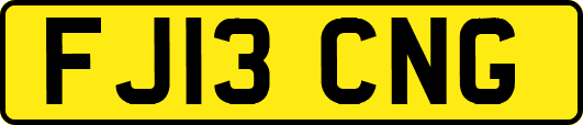 FJ13CNG