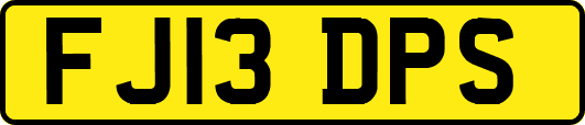 FJ13DPS