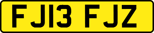 FJ13FJZ