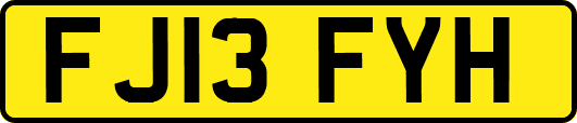 FJ13FYH