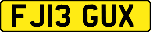 FJ13GUX