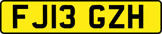 FJ13GZH