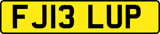 FJ13LUP