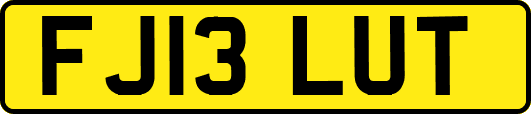 FJ13LUT