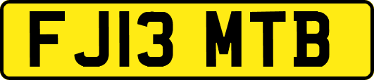 FJ13MTB