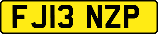 FJ13NZP
