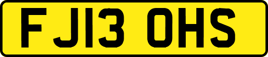FJ13OHS