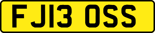 FJ13OSS