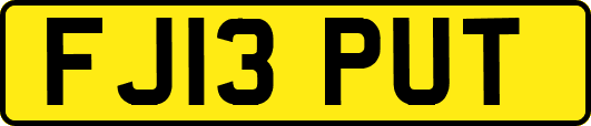 FJ13PUT