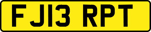 FJ13RPT