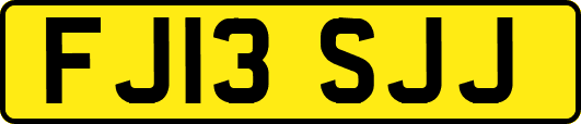 FJ13SJJ