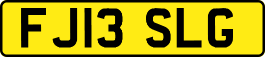 FJ13SLG