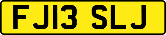 FJ13SLJ