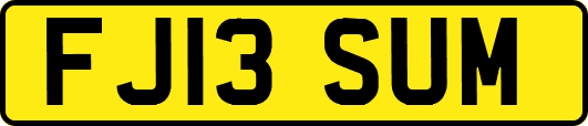 FJ13SUM
