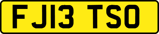 FJ13TSO