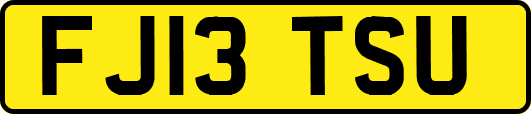 FJ13TSU