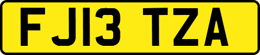 FJ13TZA