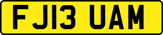 FJ13UAM