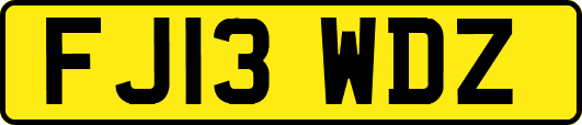 FJ13WDZ