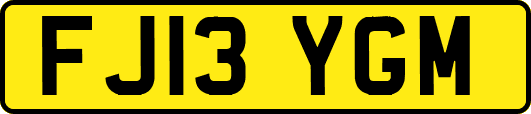 FJ13YGM