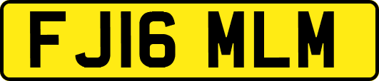 FJ16MLM