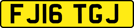FJ16TGJ