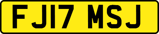 FJ17MSJ