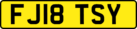 FJ18TSY